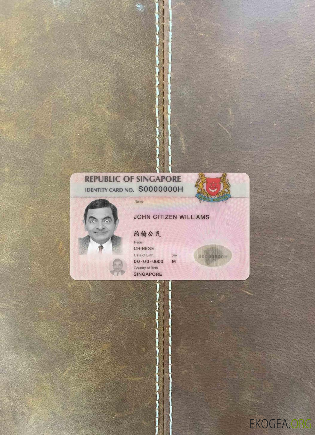 Singapour ID (mis à jour) photolook AVANT